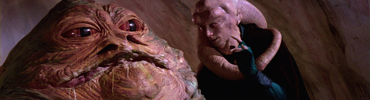 Bib fortuna store