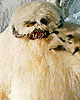 Wampa