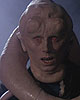 Bib Fortuna