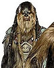 Wookiee Warrior