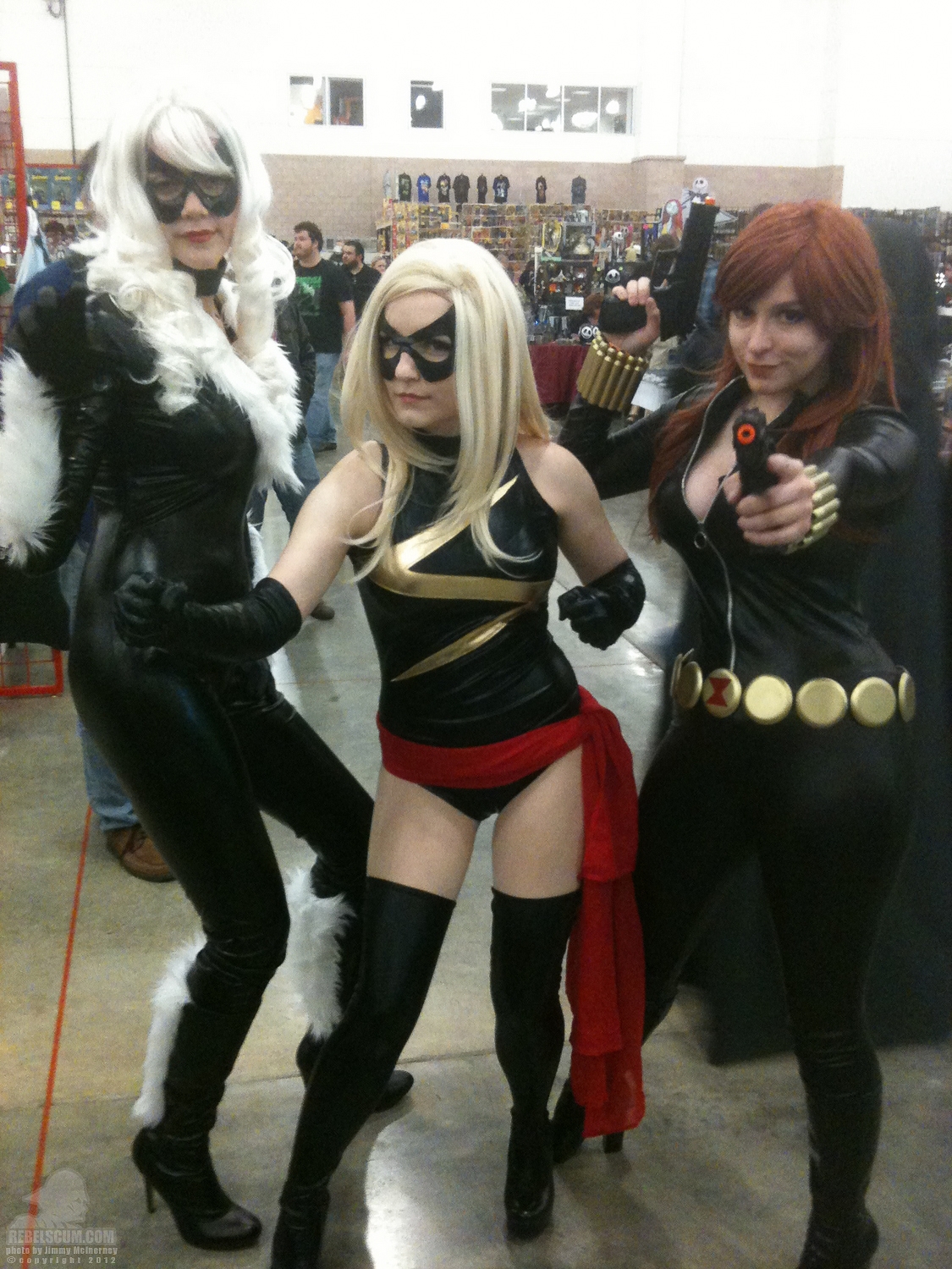 ForceCast_Fan_Days_2012-13.jpg