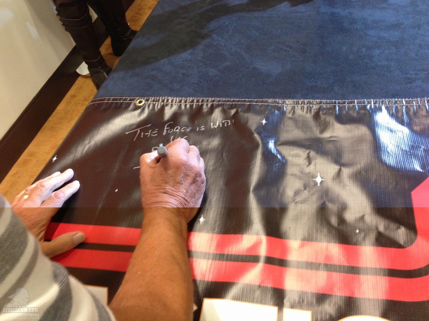 ForceCast_Fan_Days_2012-40.jpg