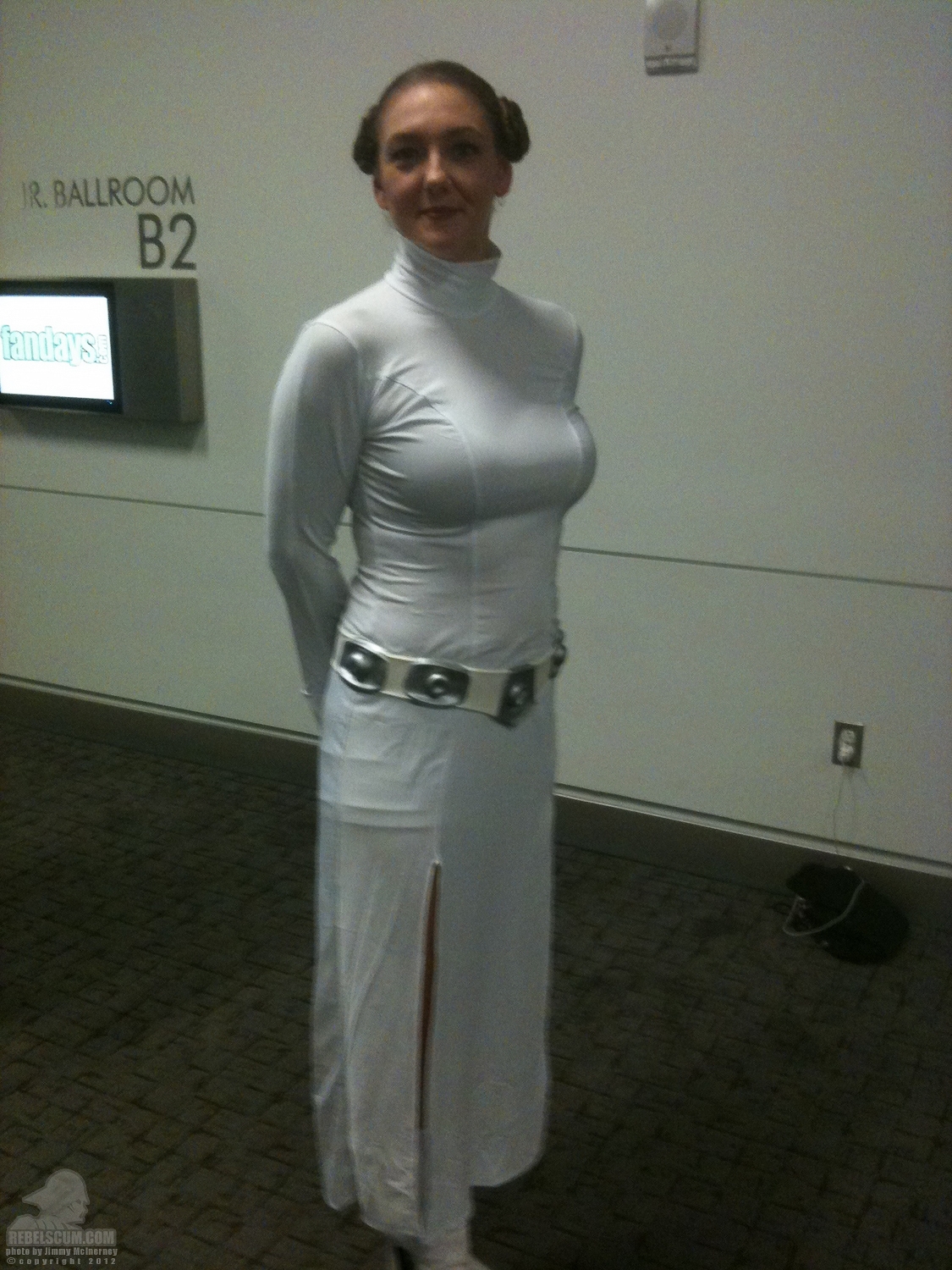 ForceCast_Fan_Days_2012-14.jpg