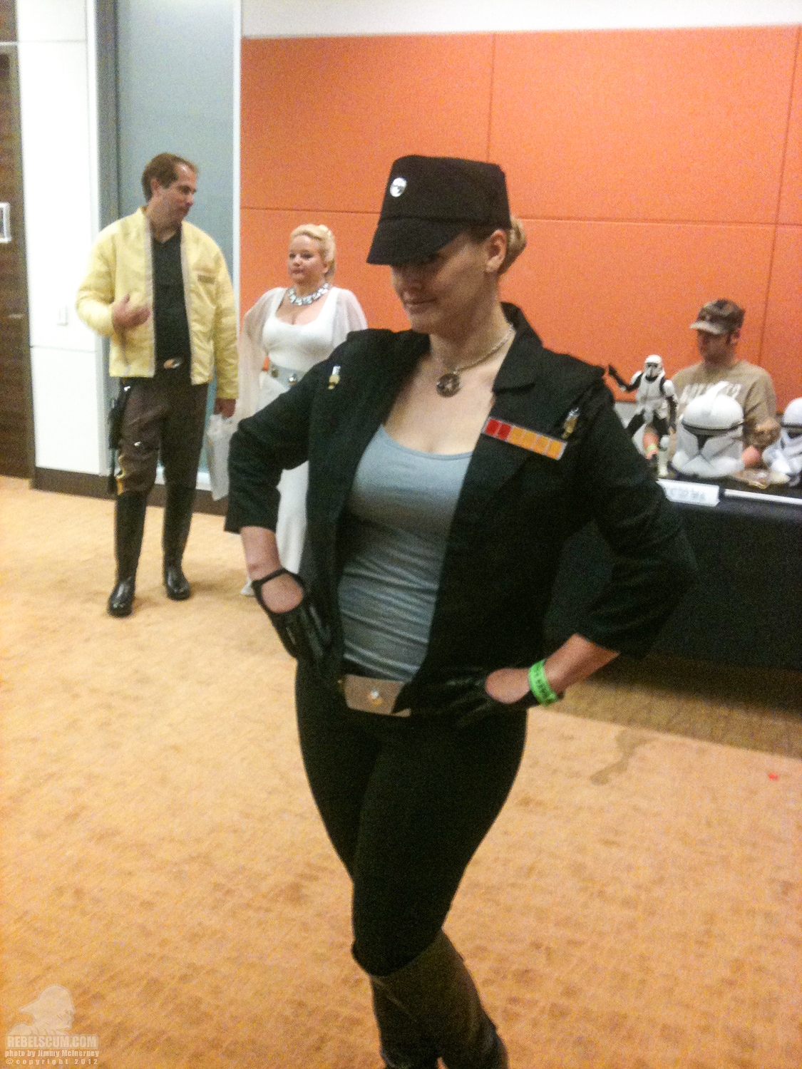 ForceCast_Fan_Days_2012-16.jpg