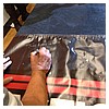 ForceCast_Fan_Days_2012-40.jpg
