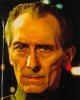 VC98: Grand Moff Tarkin