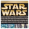 Disney_Parks_2013_Star_Wars_Weekend_Exclusives-10.jpg