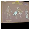 SDCC-2013_Hasbro-Panel-84.JPG