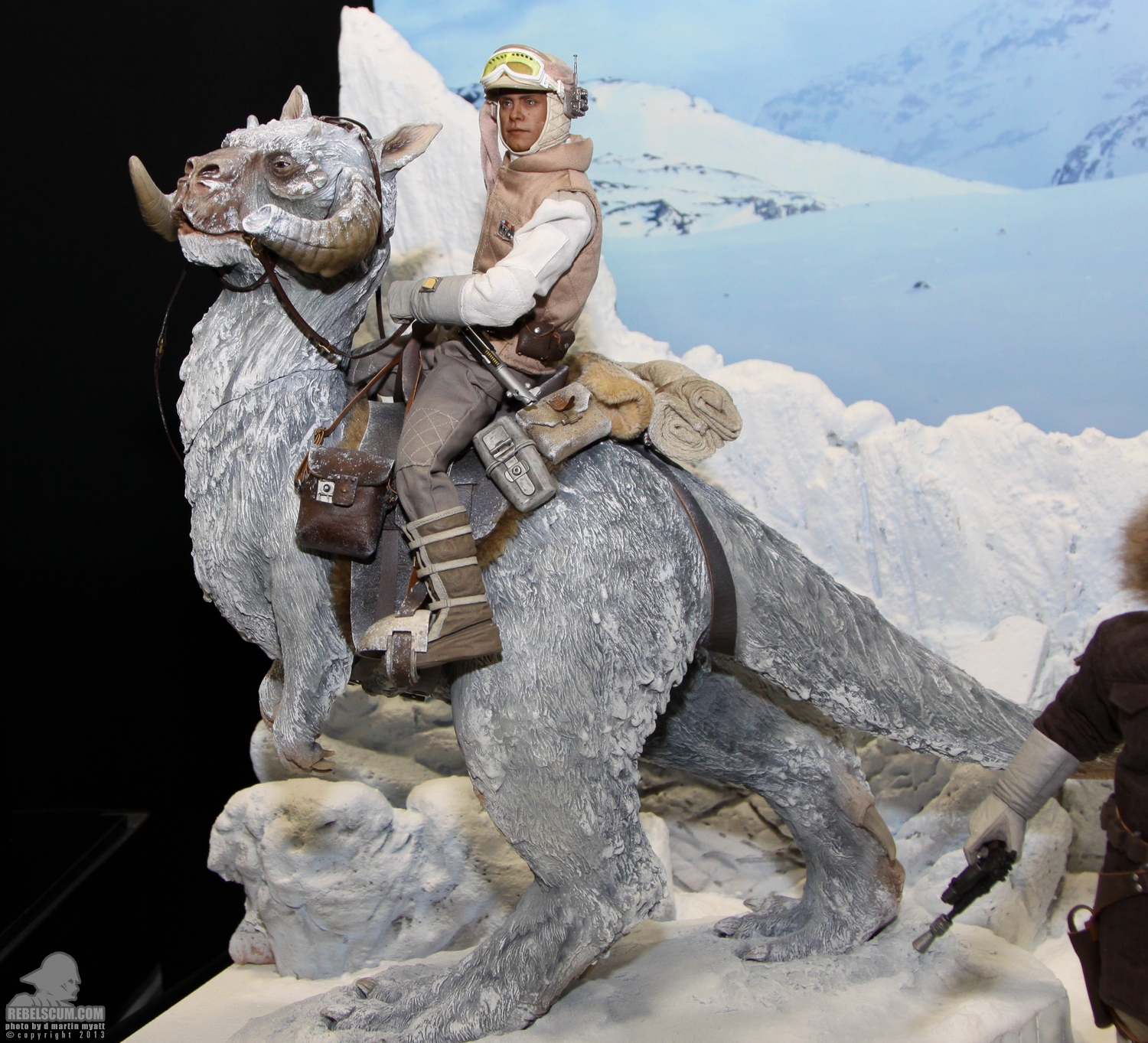 luke skywalker inside tauntaun