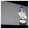 SDCC_2013_Star_Wars_Collecting_Panel_Friday-071.jpg