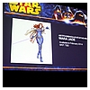 SDCC_2013_Star_Wars_Collecting_Panel_Friday-106.jpg