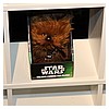 2013_International_Toy_Fair_Star_Wars_Underground_Toys-28.jpg