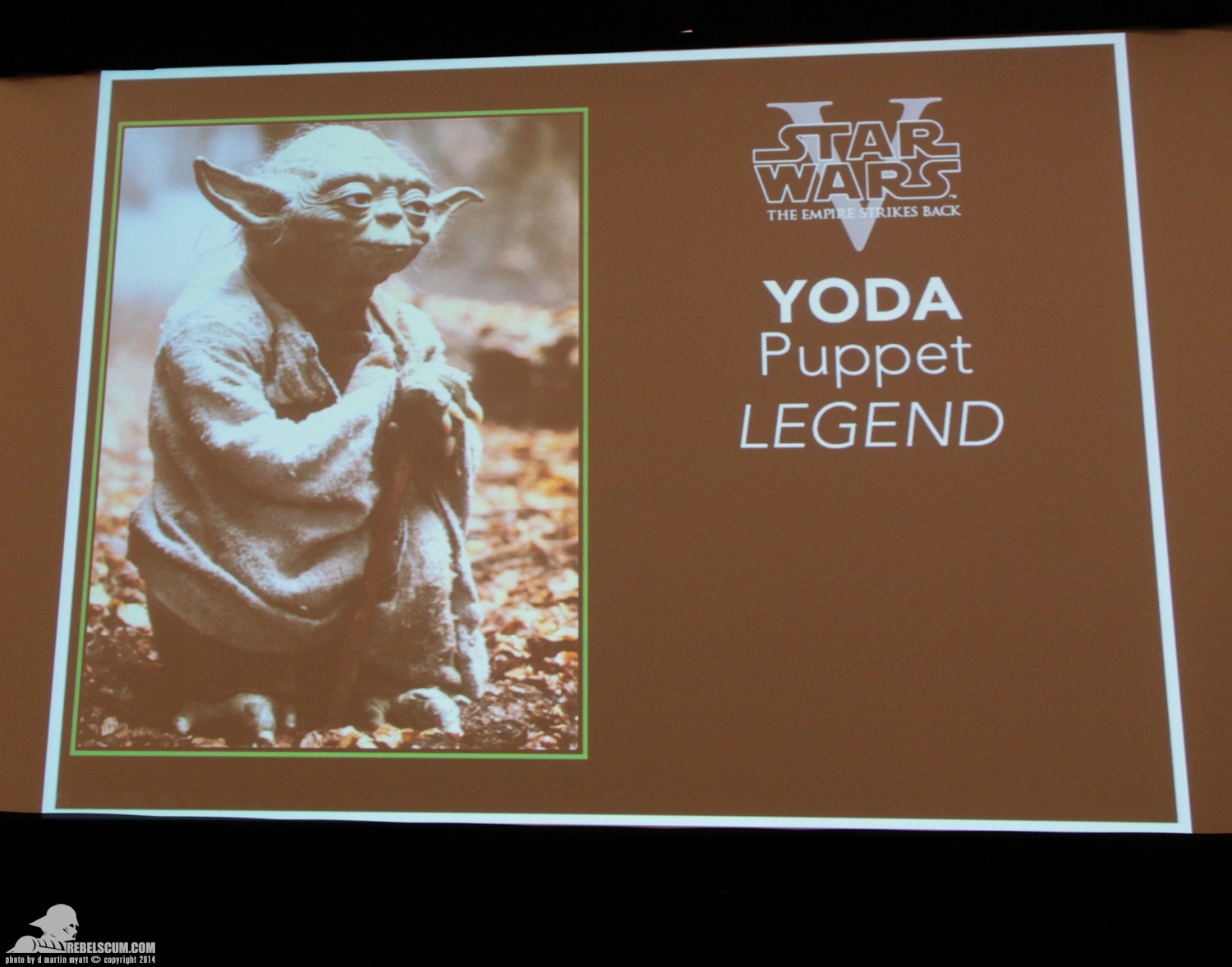 SDCC-2014-Star-Wars-Collectors-Panel-017.jpg