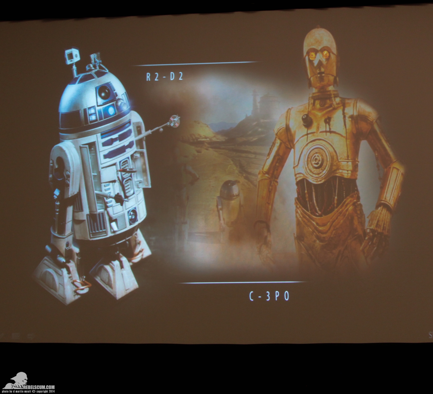 SDCC-2014-Star-Wars-Collectors-Panel-028.jpg