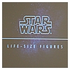 SDCC-2014-Star-Wars-Collectors-Panel-043.jpg