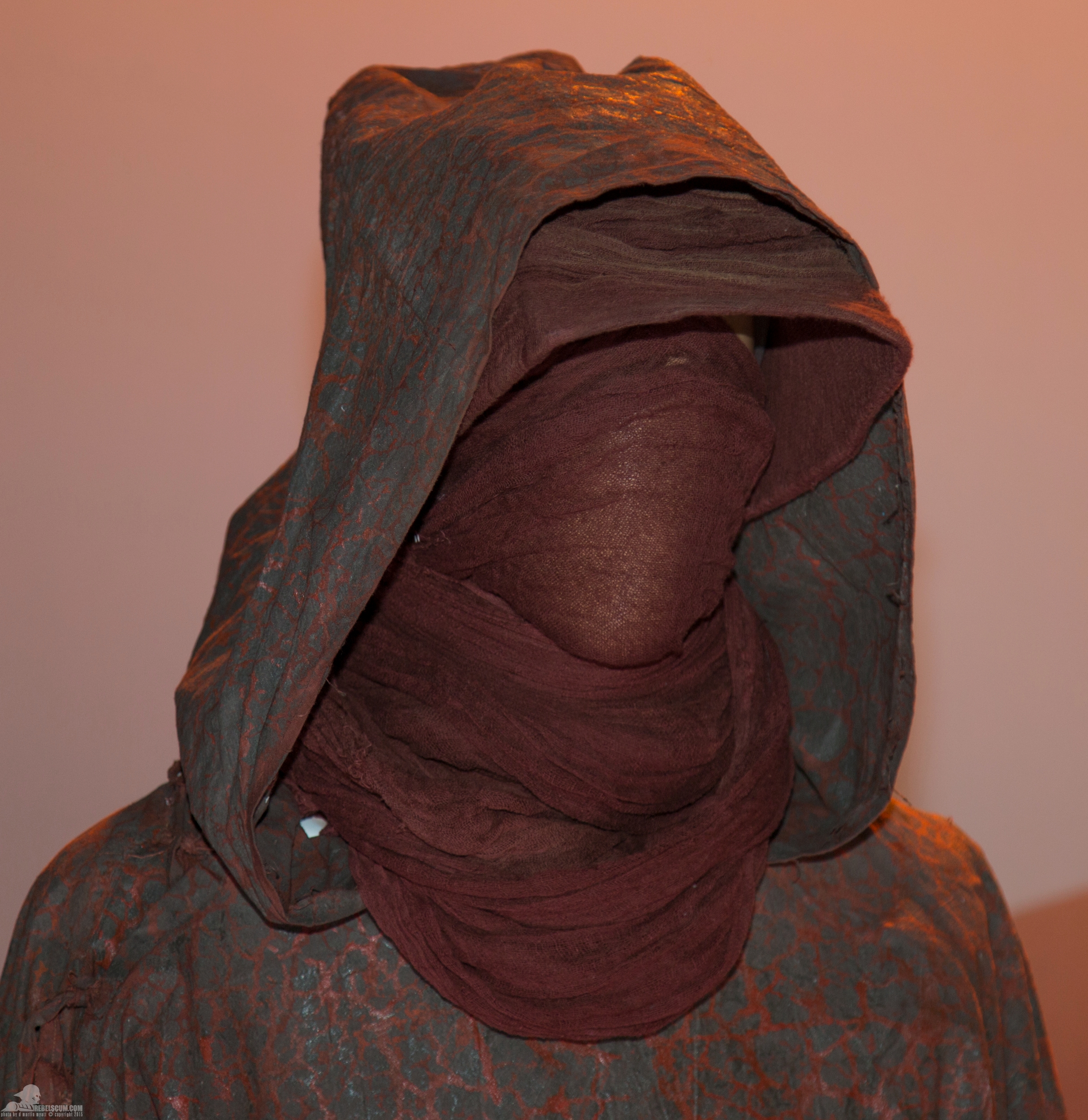 Star-Wars-Celebration-Anaheim-2015-The-Force-Awakens-006.jpg