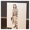 Star-Wars-Celebration-Anaheim-2015-The-Force-Awakens-044.jpg