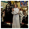 Hot-Toys-Display-2015-San-Diego-Comic-Con-SDCC-024.jpg