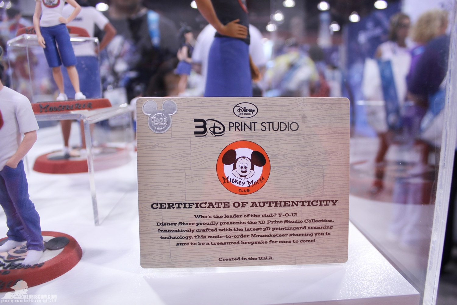 D23-Expo-2015-017.jpg