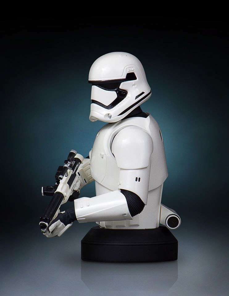 Gentle-Giant-Ltd-First-Order-Stormtrooper-Mini-Bust-004.jpg