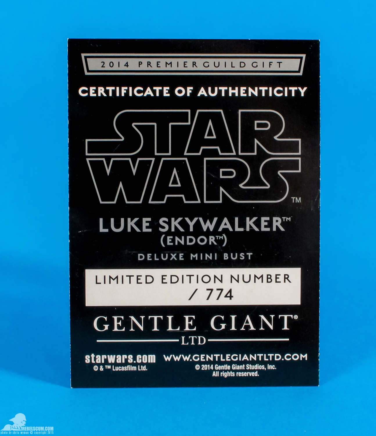 Gentle-Giant-Ltd-Luke-Skywalker-Endor-PGM-Mini-Bust-Review-027.jpg
