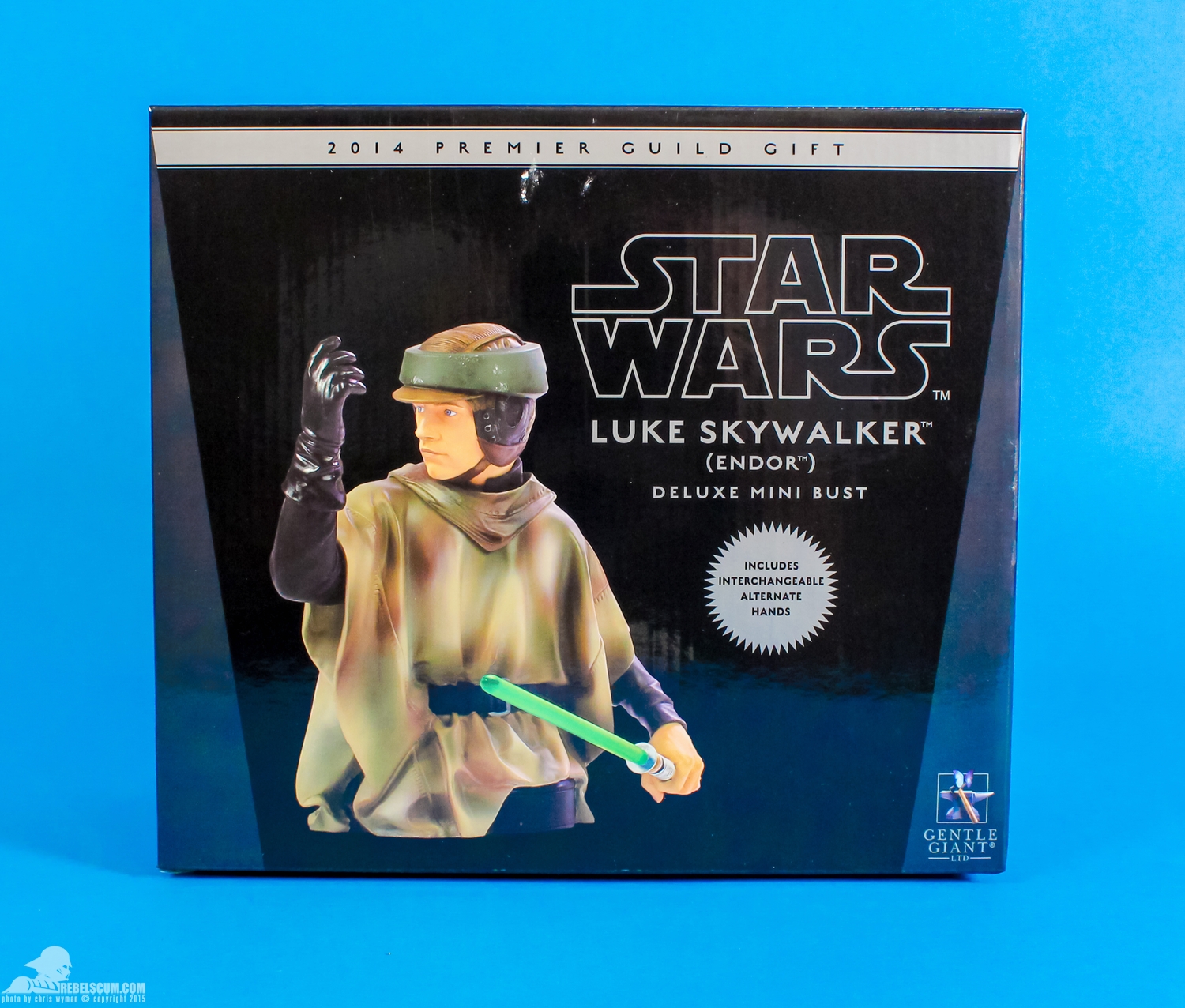 Gentle-Giant-Ltd-Luke-Skywalker-Endor-PGM-Mini-Bust-Review-028.jpg