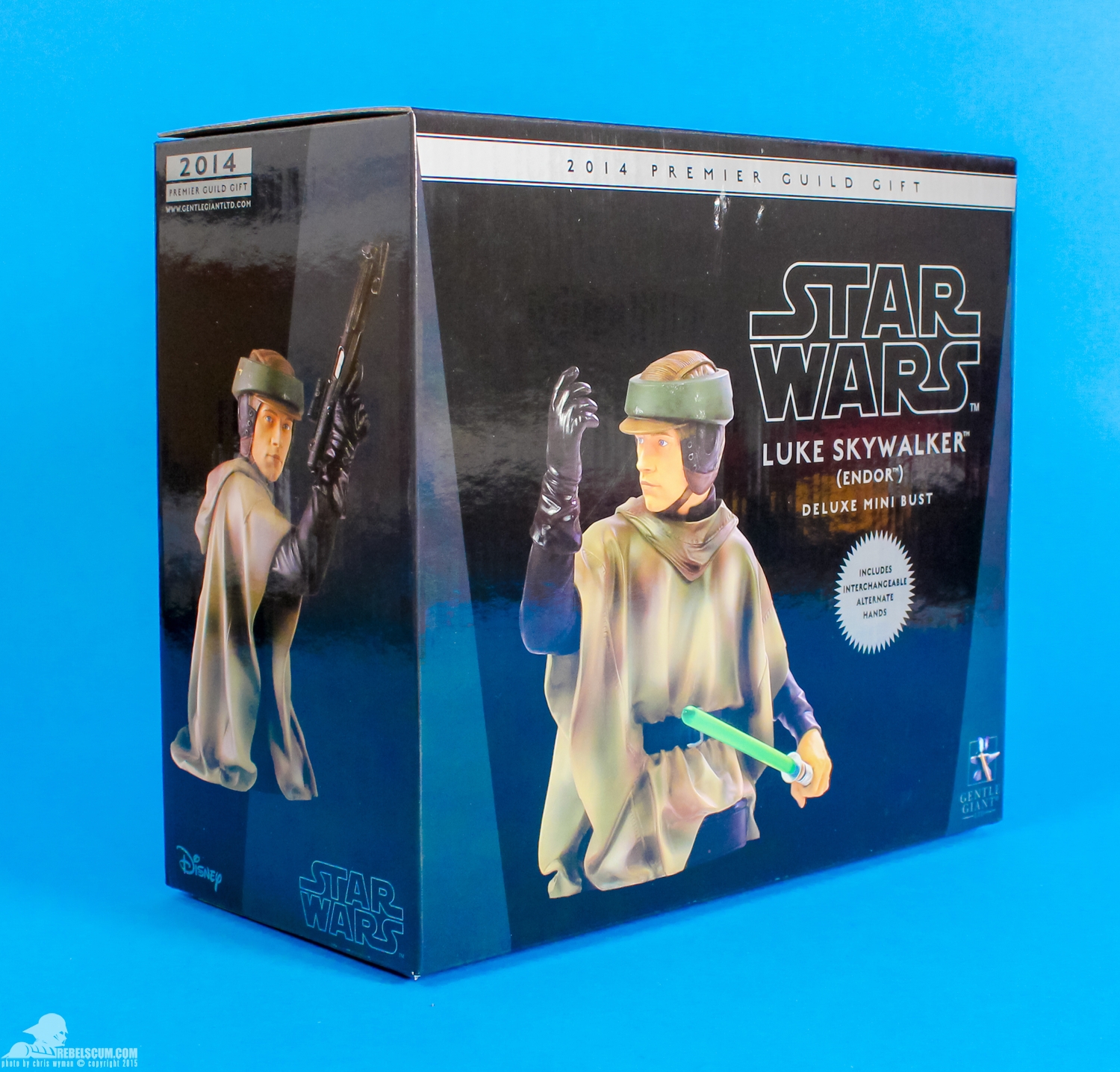 Gentle-Giant-Ltd-Luke-Skywalker-Endor-PGM-Mini-Bust-Review-029.jpg