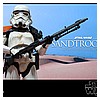 Hot-Toys-MMS295-Sandtrooper-Collectible-Figure-010.jpg