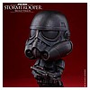 Hot-Toys-COSB336-337-Darth-Vader-Stormtrooper-Bronze-005.jpg