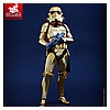 Hot-Toys-MMS364-Stormtrooper-Gold-Chrome-Version-001.jpg