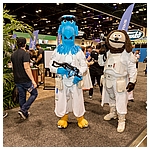 Celebration-Orlando-2017-Attendees-In-Costumes-046.jpg