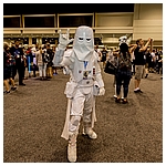 Celebration-Orlando-2017-Attendees-In-Costumes-049.jpg