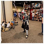 Celebration-Orlando-2017-Attendees-In-Costumes-052.jpg