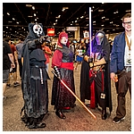 Celebration-Orlando-2017-Attendees-In-Costumes-081.jpg