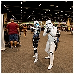 Celebration-Orlando-2017-Attendees-In-Costumes-091.jpg