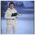 Hot-Toys-MMS423-The-Empire-Strikes-Back-Princess-Leia-002.jpg