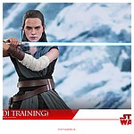 Hot-Toys-MMS446-The-Last-Jedi-Rey-Jedi-Training-016.jpg