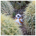 sphero-force-friday-app-enabled-droid-family-027.jpg