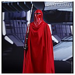 Hot-Toys-MMS469-Return-of-the-Jedi-Royal-Guard-001.jpg