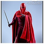 Hot-Toys-MMS469-Return-of-the-Jedi-Royal-Guard-002.jpg