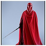 Hot-Toys-MMS469-Return-of-the-Jedi-Royal-Guard-003.jpg