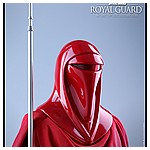 Hot-Toys-MMS469-Return-of-the-Jedi-Royal-Guard-004.jpg