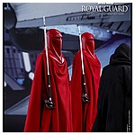 Hot-Toys-MMS469-Return-of-the-Jedi-Royal-Guard-005.jpg