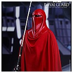 Hot-Toys-MMS469-Return-of-the-Jedi-Royal-Guard-006.jpg