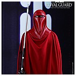 Hot-Toys-MMS469-Return-of-the-Jedi-Royal-Guard-007.jpg
