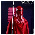 Hot-Toys-MMS469-Return-of-the-Jedi-Royal-Guard-008.jpg