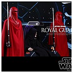 Hot-Toys-MMS469-Return-of-the-Jedi-Royal-Guard-009.jpg