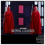 Hot-Toys-MMS469-Return-of-the-Jedi-Royal-Guard-010.jpg