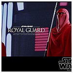 Hot-Toys-MMS469-Return-of-the-Jedi-Royal-Guard-011.jpg