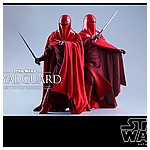 Hot-Toys-MMS469-Return-of-the-Jedi-Royal-Guard-012.jpg